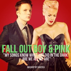 My Songs Know What You Did In The Dark, Are We All We Are (Sarzica Remix)