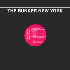 Leisure Muffin - The Bunker New York 001 - preview clips