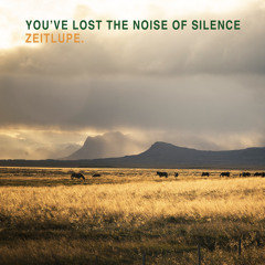 zeitlupe. - you've lost the noise of silence