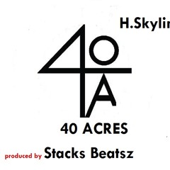 Young H Skyline - 40 Acres & A Mule(Prod. By Stacks Beatsz)