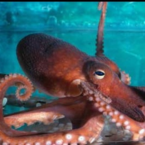 Stream You Wont Believe Who I Saw Produced By Sid Swift by ...