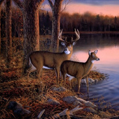 Deer Hunting Man