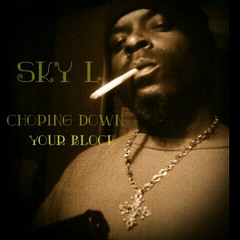 I Be Choping Down Your Block