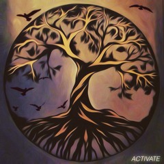 Taste Nate - Activate {CAPRICAN EP OUT NOW!} TASTENATE.BANDCAMP.COM