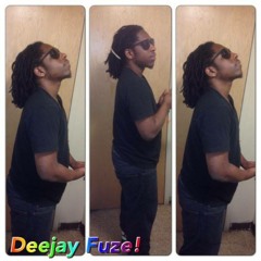 DeeJay Fuze Gone Wild vol. 2 preview