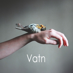 Vatn - Waves Of Winter Water