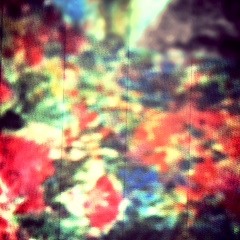 Can You Take Creed Higher