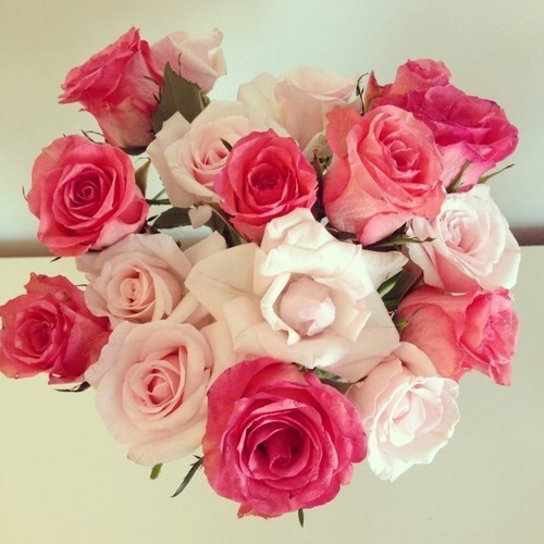 هِيَ جنّةٌ ♥ بدُونْ ايقَاعْ