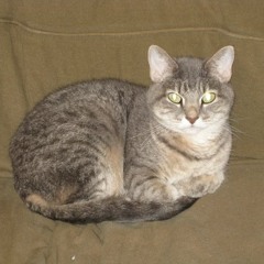 Neil Carlill - A Poor Day for Boating (King Toad)