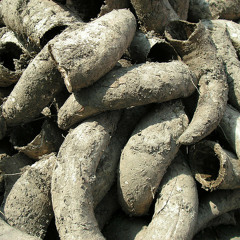 Biodynamics: Voodoo in Your Glass, Cow Horns in the Ground