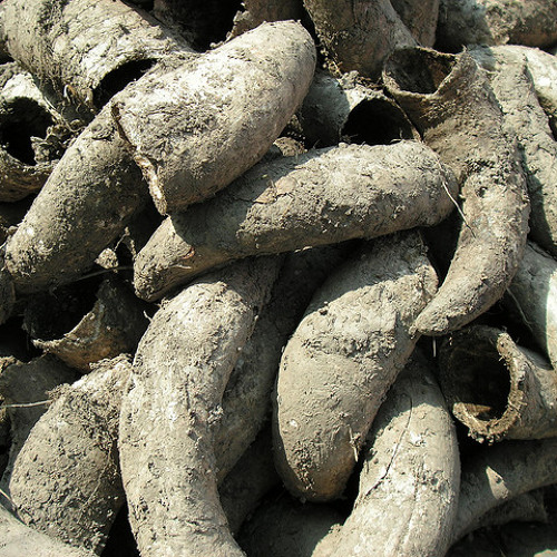 Biodynamics: Voodoo in Your Glass, Cow Horns in the Ground