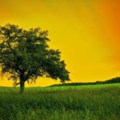 Instrumental reggae