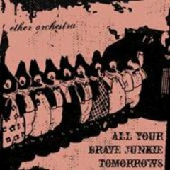 Ether Orchestra, Please Stop the Night