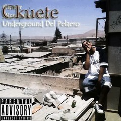 MSR - ELECTRONIKOO KOO DEMO !