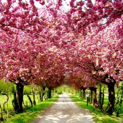 Zeke - New Comer (Remix)