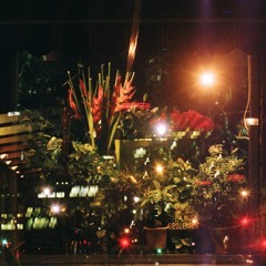 Flowers (Second draft)