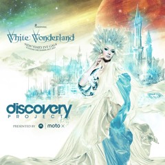 Discovery Project: White Wonderland 2013