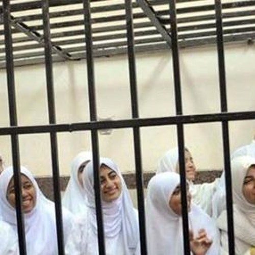 زي الحمام - أغنية لحرائر اسكندرية - أداء أحمد شطا