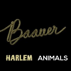 Harlem Animals