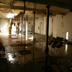 Basement Mix