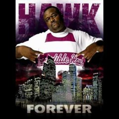 OnTheBoulevardActinUgly(Big Hawk Vocal Sample)