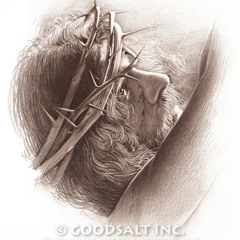 هل تحيا هذه العظام