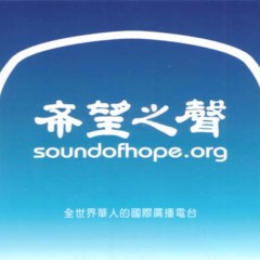 Sound of Hope (SOH) Radio with strong chinese jamming 19620 khz 11:50 utc 8/12/2013