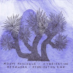 Mount Analogue - Hybridation (Bermudaa RMX)