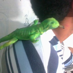 Todo marcha bien- risto-crea-boler-npc