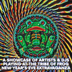 A showcase of artists & DJs playing at TRiBE of FRoG ~ New Year's Eve 2013-2014