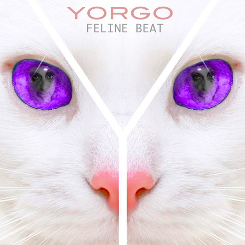 YORGO Feline Beat J.PATRICK'S LATTE NIGHT MIX