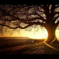 Yppah- Never Mess With Sunday (Dead Stream's Chill Out Remix)