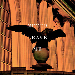 Karl X Johan - Never Leave Me (Vinjette Remix)