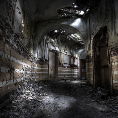 Asylum