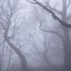 Lull Of The Rain
