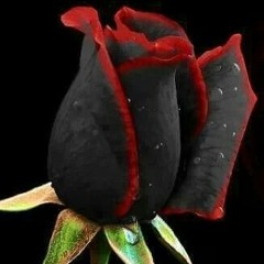 ما فهمت الناس