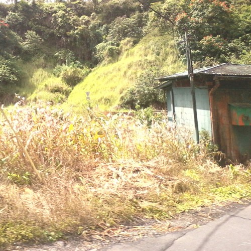 Ghetto Rootz(full) Soundz Of Jah at Koolau Farm- Kailua