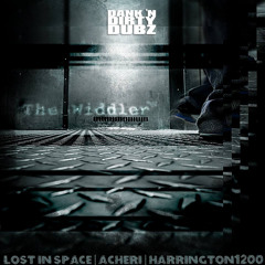 DANKFREE006 - The Widdler - Lost In Space Pt. 2 [FREE DOWNLOAD]