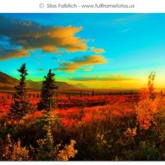 Don't Fence Me In - Creative Cover