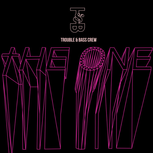 Trouble & Bass Crew - The One