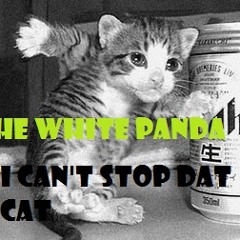I Can't Stop DAT CAT