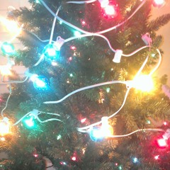 Yule Shoot Your Eye Out- F.o.b. Cover