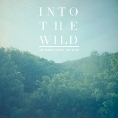 Into The Wild (Demo)