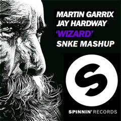 Wizard Out - Martin Garrix & Jay Hardway vs. 4 Strings (Snke Mashup)