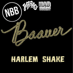 Baauer - Harlem Shake VIP Edit [BAAUER REMIX] (2013)