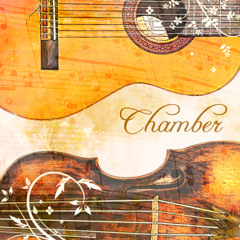 Chamber - Collaboration with Fred "N'gofela" Herrmann