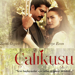 Çalıkuşu Dizi Müziği