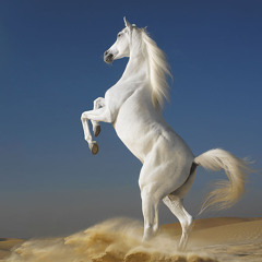 Laid Back - White Horse (Warme Daan&Hedi remix)