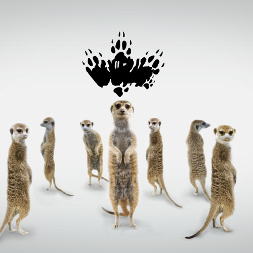 sOURONe - ADHD MEERKAT VENGEANCE