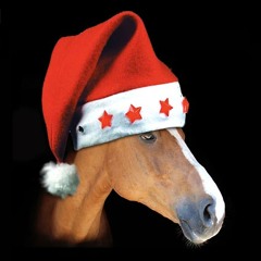 Horsy Christmas